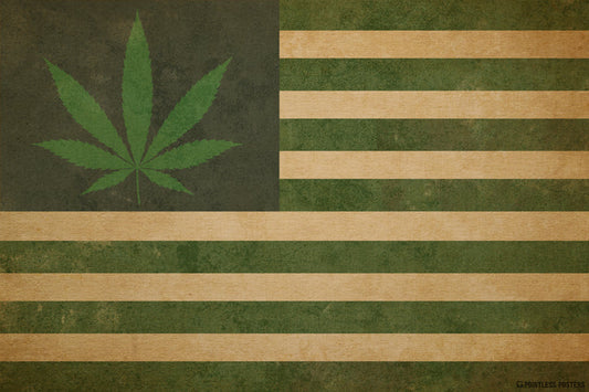Happy Freedom Day 🇺🇸: The United States of Cannabis