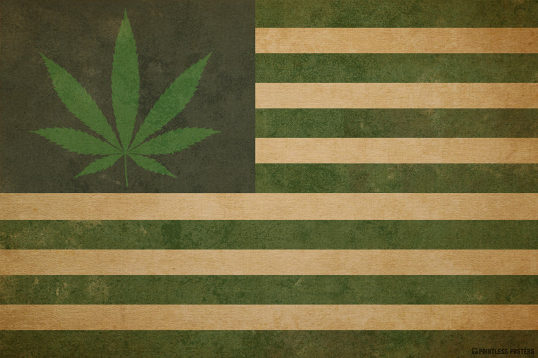 Happy Freedom Day 🇺🇸: The United States of Cannabis